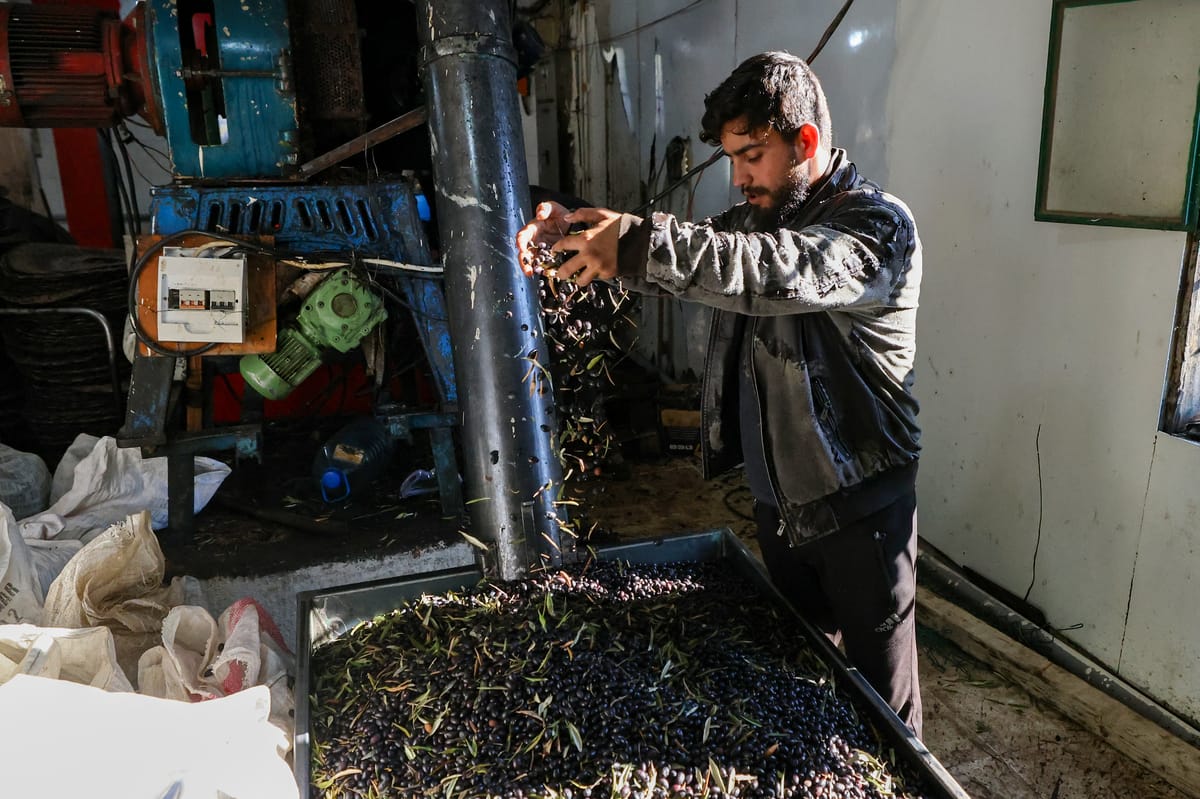 الزراعة بلبنان تدفع ثمن الحرب.. الفاتورة 586 مليون دولار