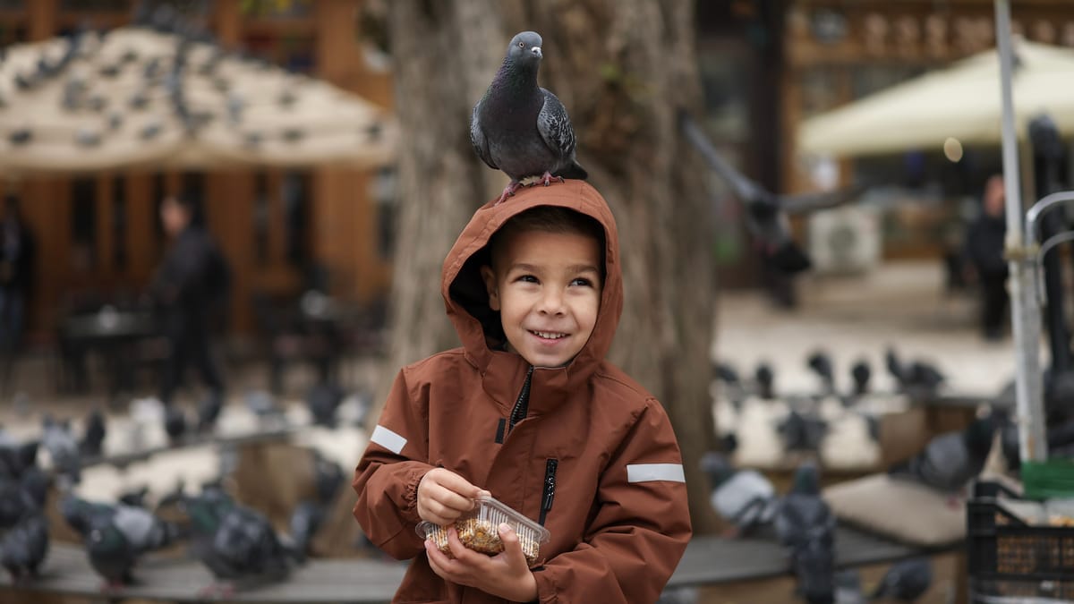 سحر "عصافير الشارع".. لماذا تريحنا أصوات بيئتنا المألوفة؟