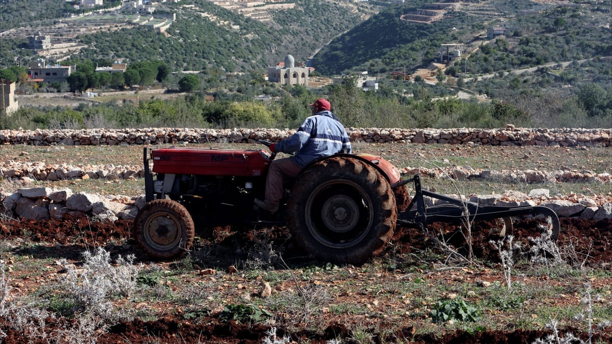 هدنة غزة تنثر البذور في أراضي لبنانيي الجنوب