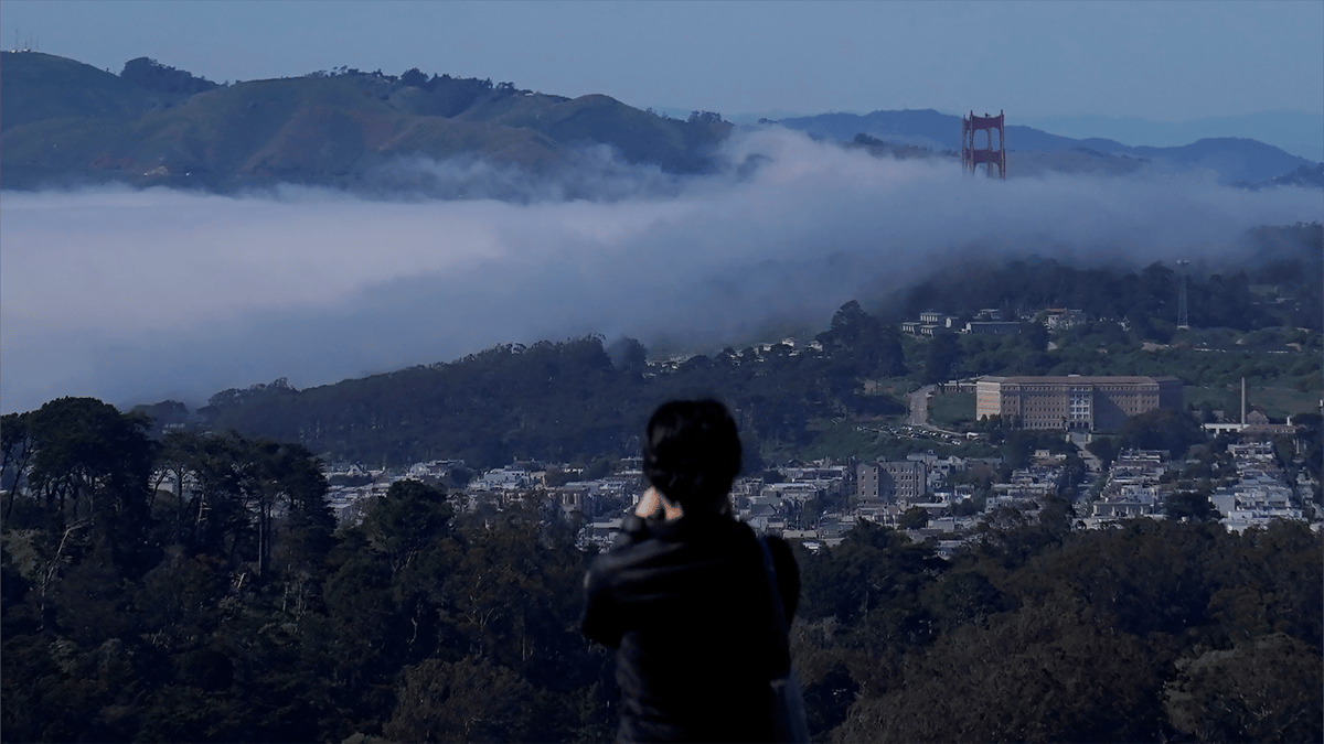 لمواجهة الـ"AI".. هوس في وادي السيليكون لإنجاب "أطفال أذكى"