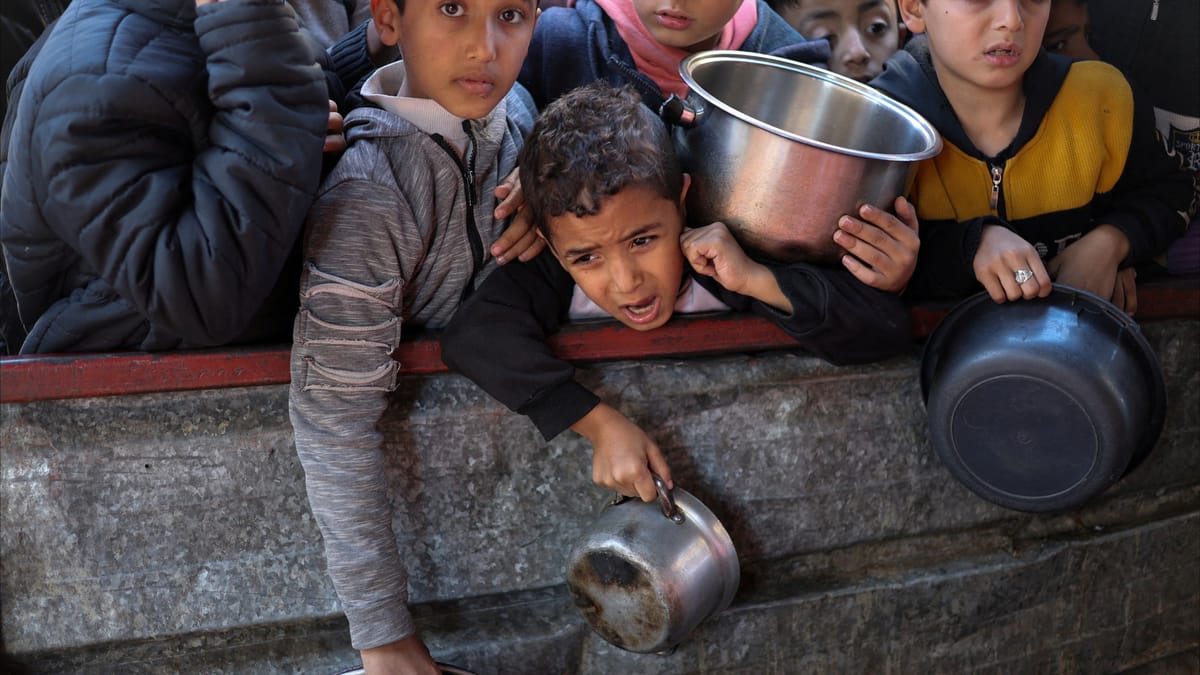 الأمم المتحدة: نصف سكان غزة متكدسون في رفح