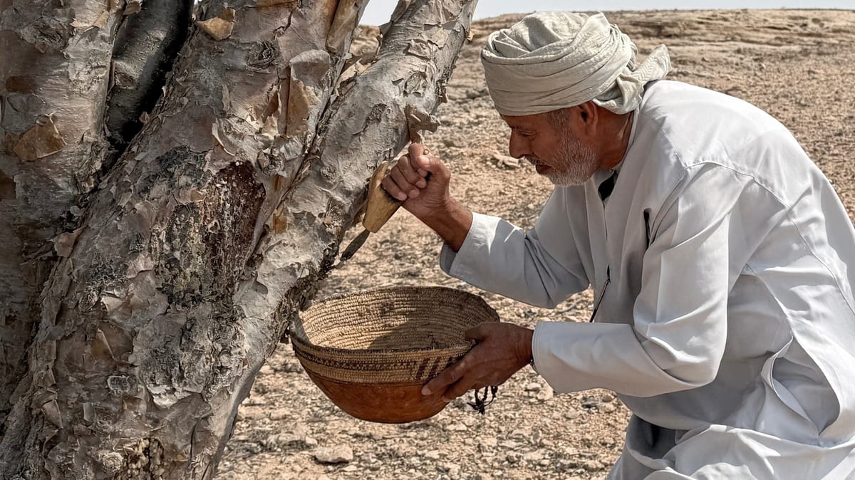 كيف تحمي عُمان "ذهبها الأبيض"؟