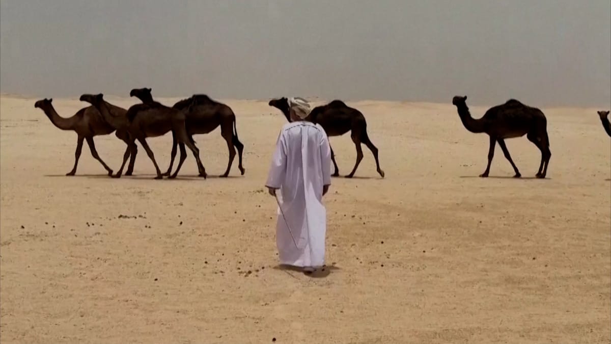 عالم آثار يكرس حياته لكشف أسرار "شصر"