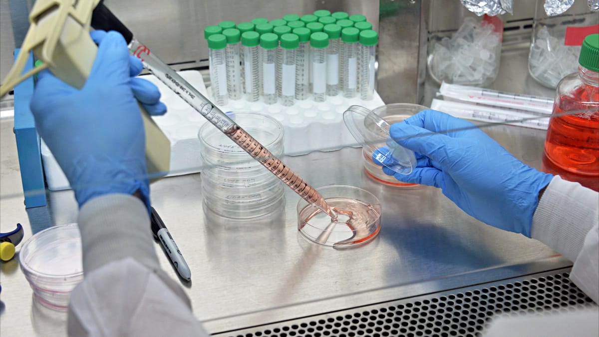 الخلايا السرطانية "تتحد" للبقاء حيّة؟