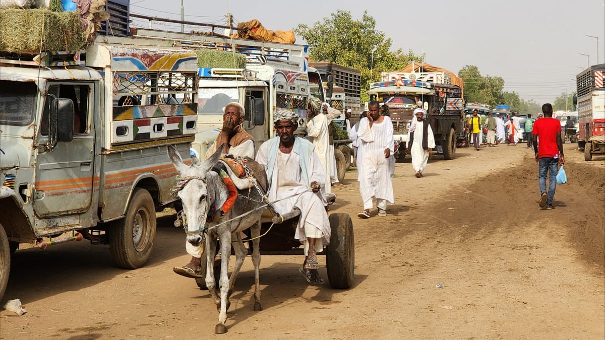 سودانيون عالقون بين الحرب والجوع.. شريف يعود إلى "مدينة القتال"