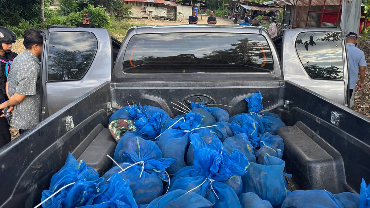 81 قردا في سيارة.. رحلة تهريب تايلاندية تنتهي في السجن