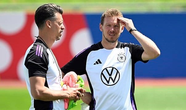 غارات البعوض تضرب ألمانيا في يورو 2024