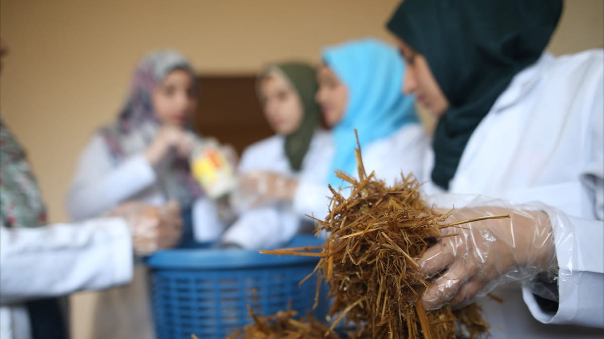 التعليم في غزة.. حضانة وماجستير داخل خيمة