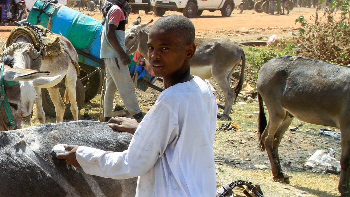 الجوع يحاصر 25 مليون سوداني