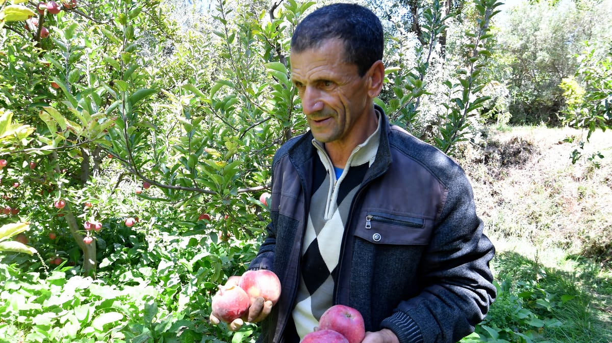 زلزال المغرب يضاعف معاناة محمد الذي "لن يترك أرضه"