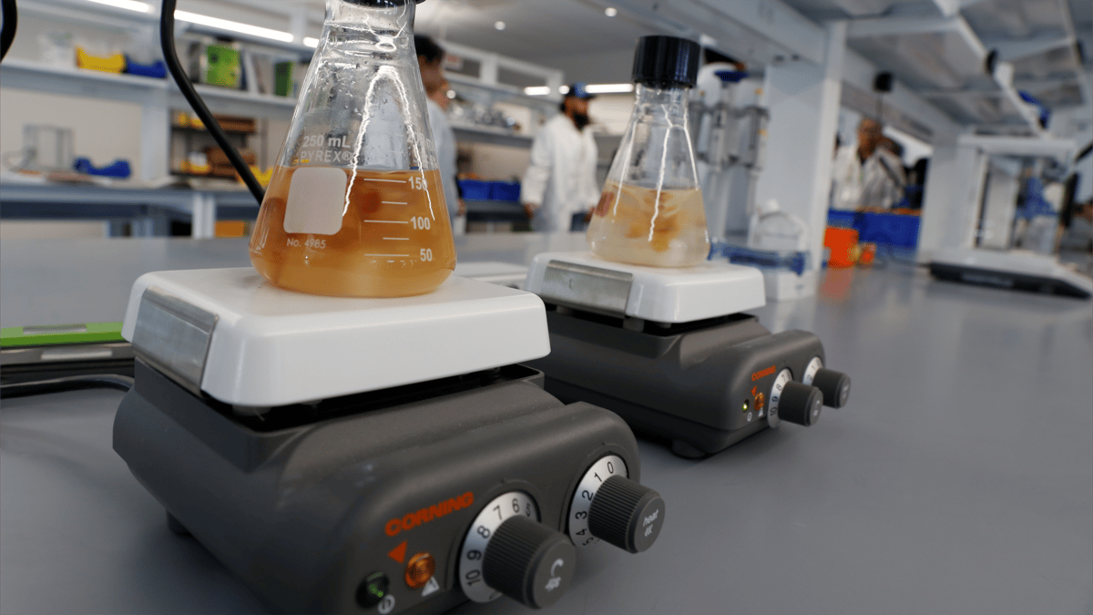 نستخدمه يوميا وأنقذنا خلال كورونا.. هل يصنف الإيثانول مسرطنا؟