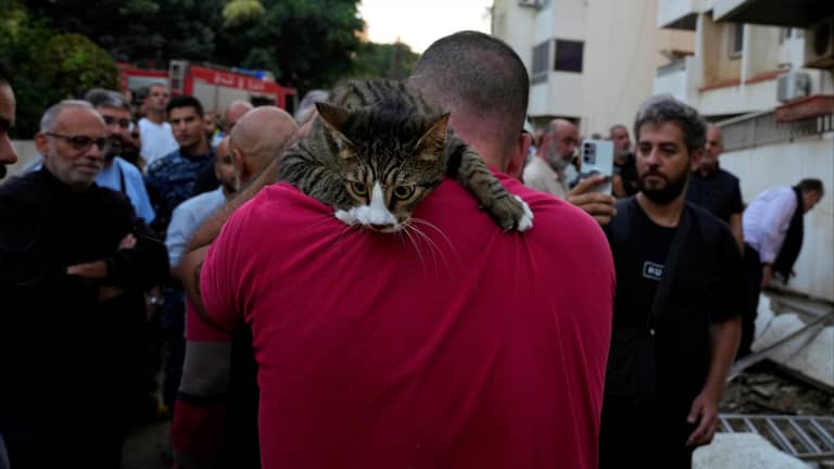 سنية وقاسم.. يحميان الحيوانات من القصف في جنوب لبنان