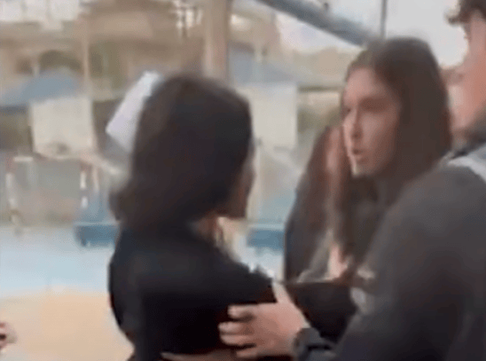 مشاجرة طالبات "المدرسة الدولية" في مصر تتفاقم.. ما القصة؟