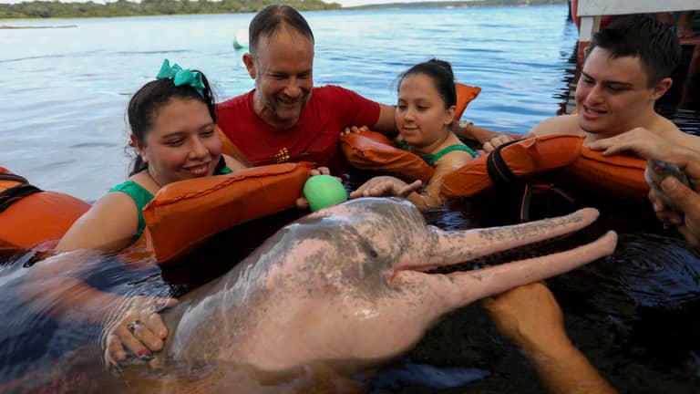 "دكتور دولفين".. تجربة جديدة لمساعدة ذوي الهمم على التعافي