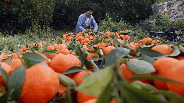 مسؤول لبناني لبلينكس: إبادة بيئية.. الغليفوسات الإسرائيلي 30 ضعفا