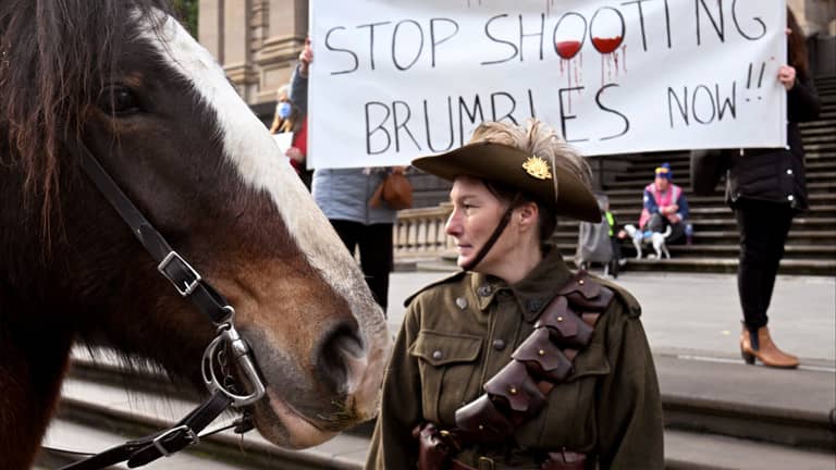 إعدام آلاف الخيول البرية في أستراليا