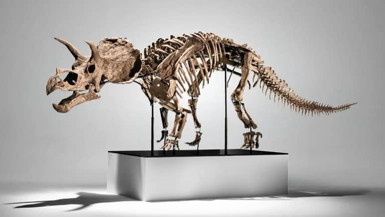 اكتشاف "ديناصور قزم" في إسبانيا