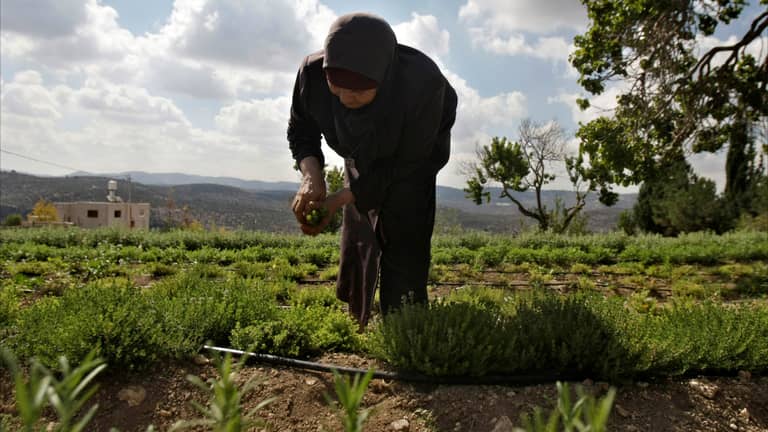 أسمدة الضفة "تنفجر".. والجيش الإسرائيلي يعتقلها