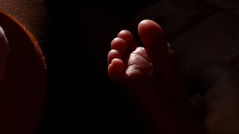 "مواليد 2025".. ماذا نعرف عن جيل بيتا الذي سيستقبل القرن 22؟