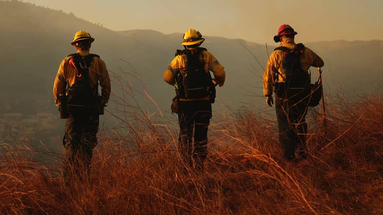 هل أحرقت لوس أنجليس نفسها؟