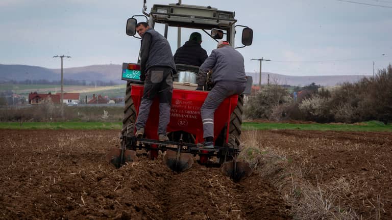 الحرب تصل إلي المائدة.. ارتفاع أسعار الغذاء عالميا للشهر الثاني