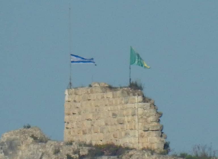Image 2