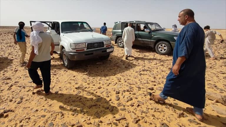 العطش ينهي حياة 12 سوريا بأقصى صحراء الجزائر