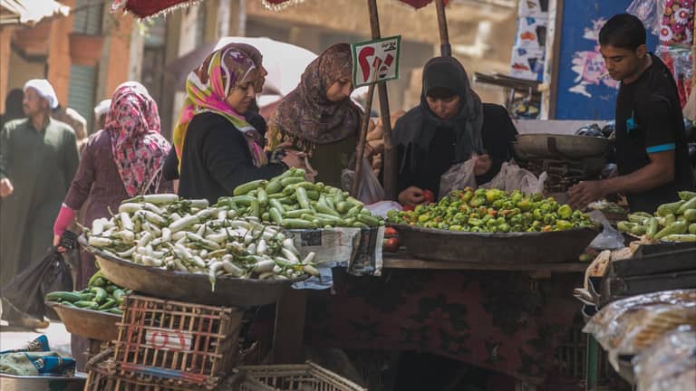 التغير المناخي يضرب "طبق المحشي" المصري