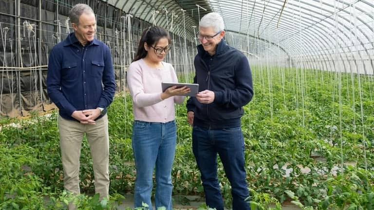 تيم كوك في الصين لدعم مبيعات أبل