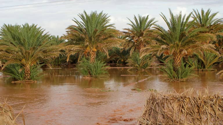 الإمارات تتضامن مع المغرب وتعزي بضحايا الفيضانات