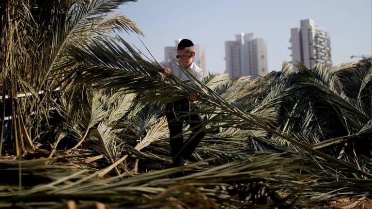 "لعبة أرقام" في الاستيلاء على أراضي الضفة