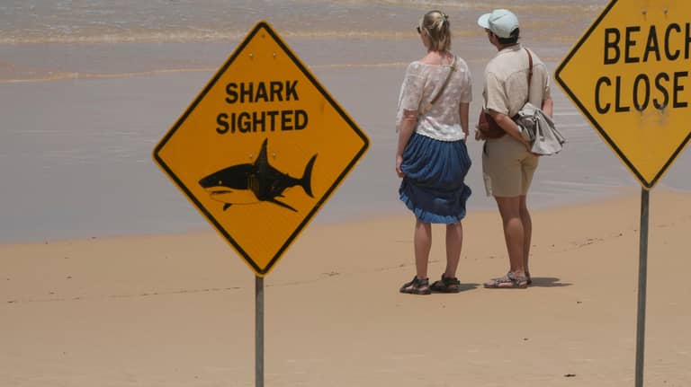 هجمات القرش المتتالية تُغلق شواطئ سيدني