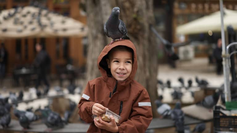 سحر "عصافير الشارع".. لماذا تريحنا أصوات بيئتنا المألوفة؟