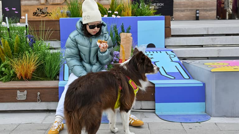 مأزق التنين.. لماذا فشلت إغراءات الصين في كسر "إضراب الأزواج"؟