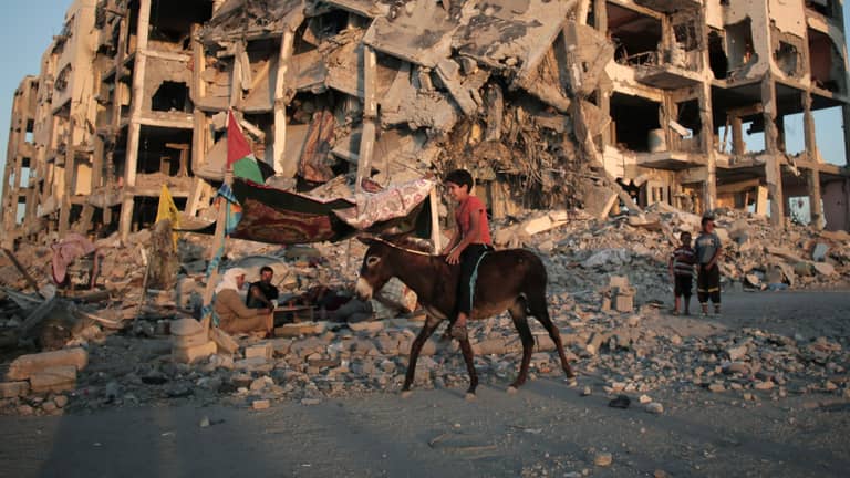 "تاكسي غزة".. حمار أغلى من الذهب