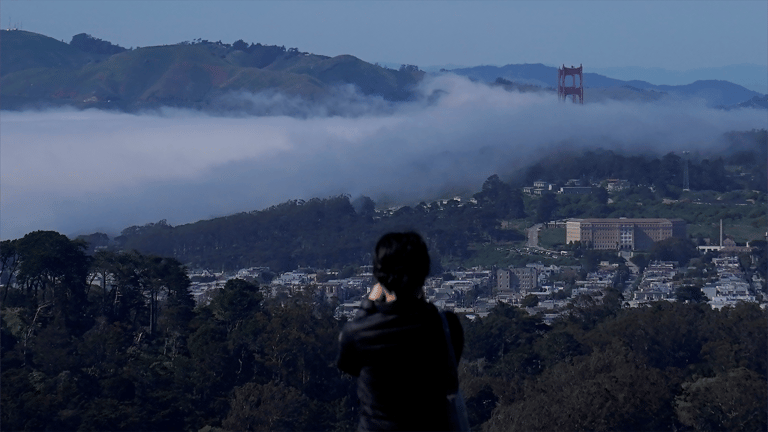 لمواجهة الـ"AI".. هوس في وادي السيليكون لإنجاب "أطفال أذكى"