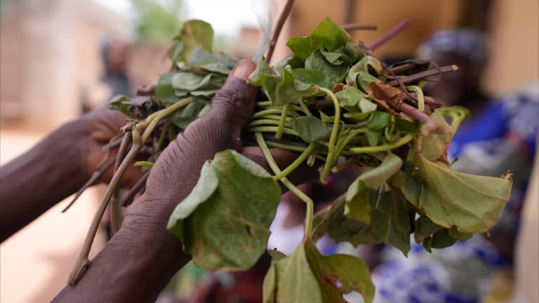 ارتفاع مؤشر الغذاء العالمي
