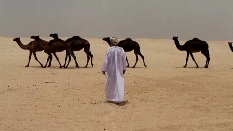 عالم آثار يكرس حياته لكشف أسرار "شصر"