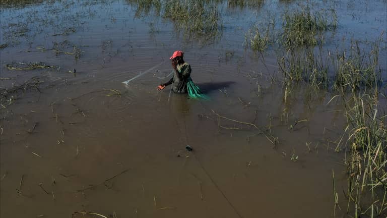 بسبب الفيضانات.. التماسيح بين المنازل في موزمبيق