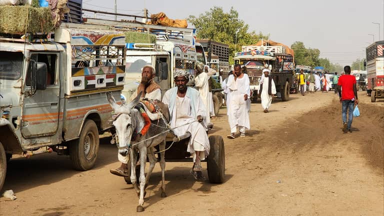 سودانيون عالقون بين الحرب والجوع.. شريف يعود إلى "مدينة القتال"