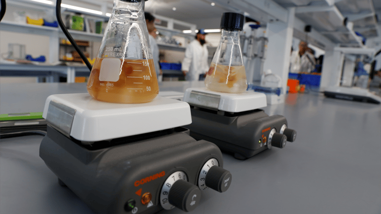 نستخدمه يوميا وأنقذنا خلال كورونا.. هل يصنف الإيثانول مسرطنا؟