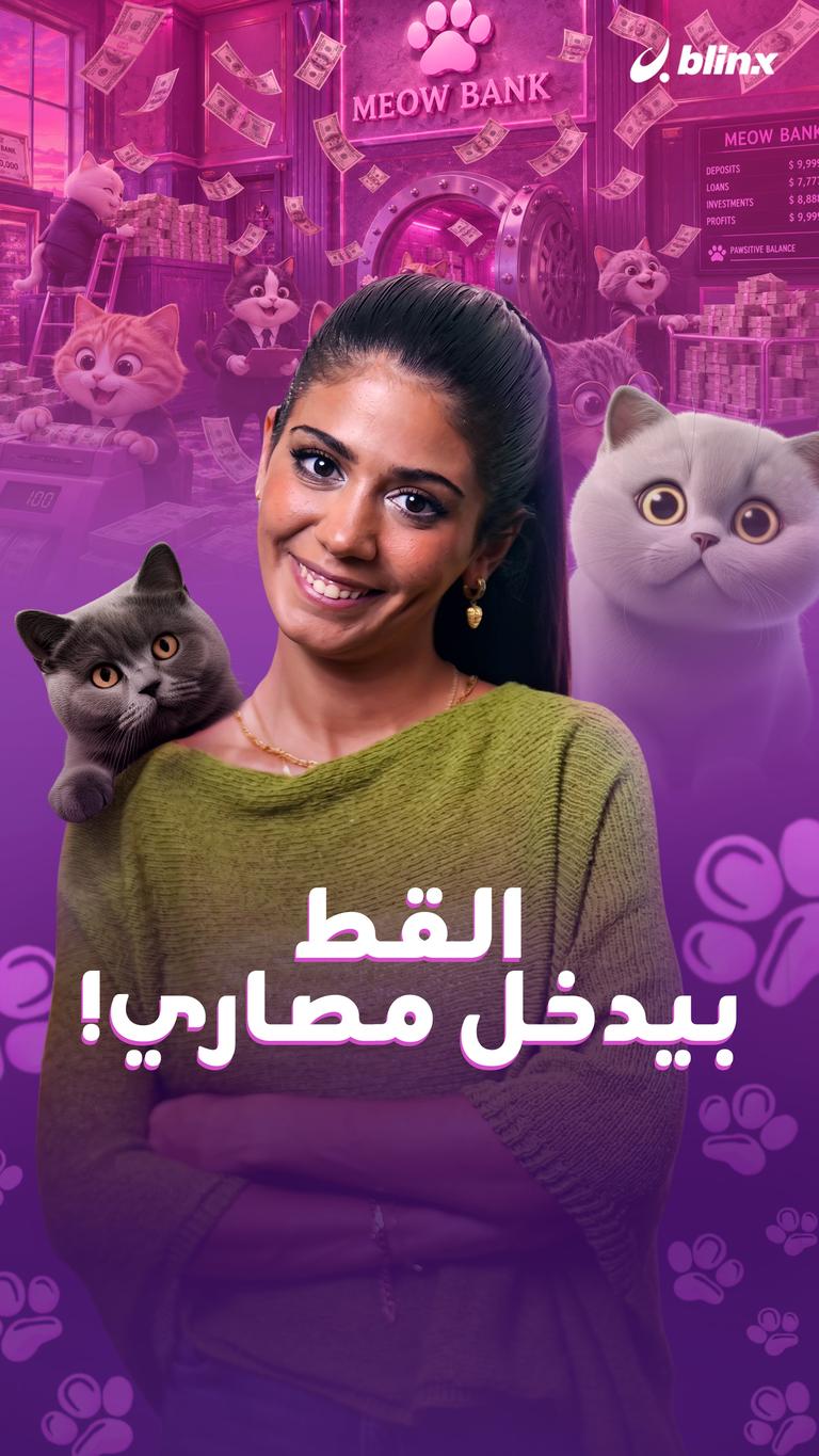القط بيدخل مصاري!