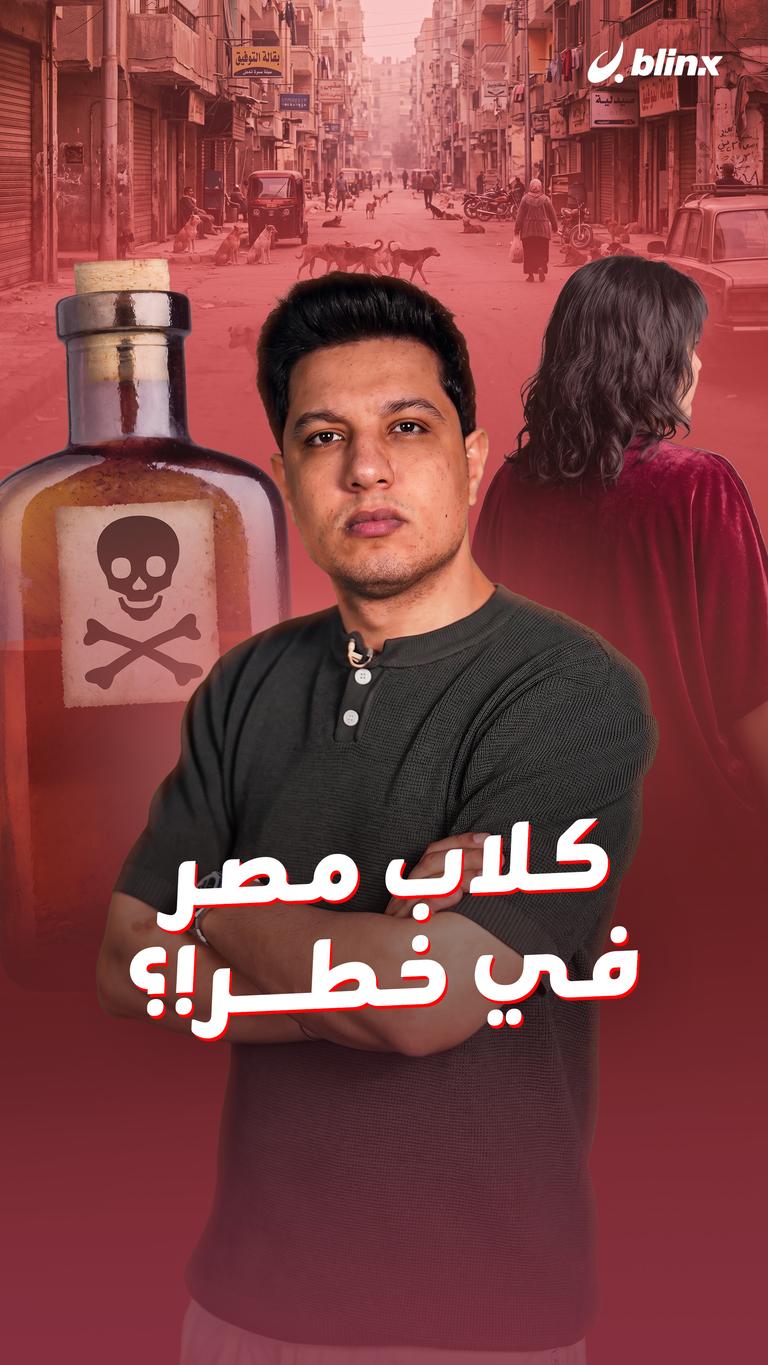 كلاب مصر في خطر!؟