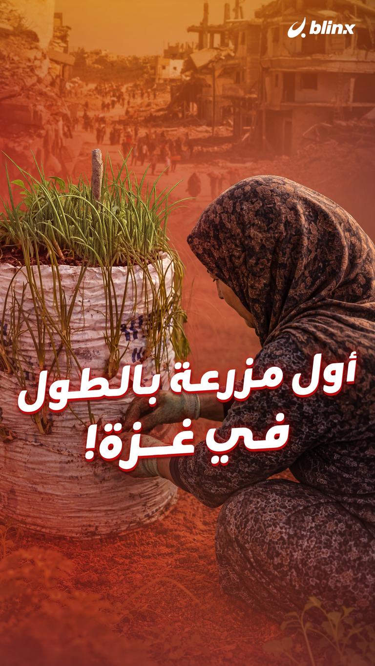 أول مزرعة بالطول في غزة!