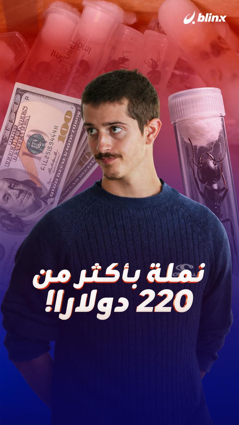 نملة بأكثر من 220 دولارا!