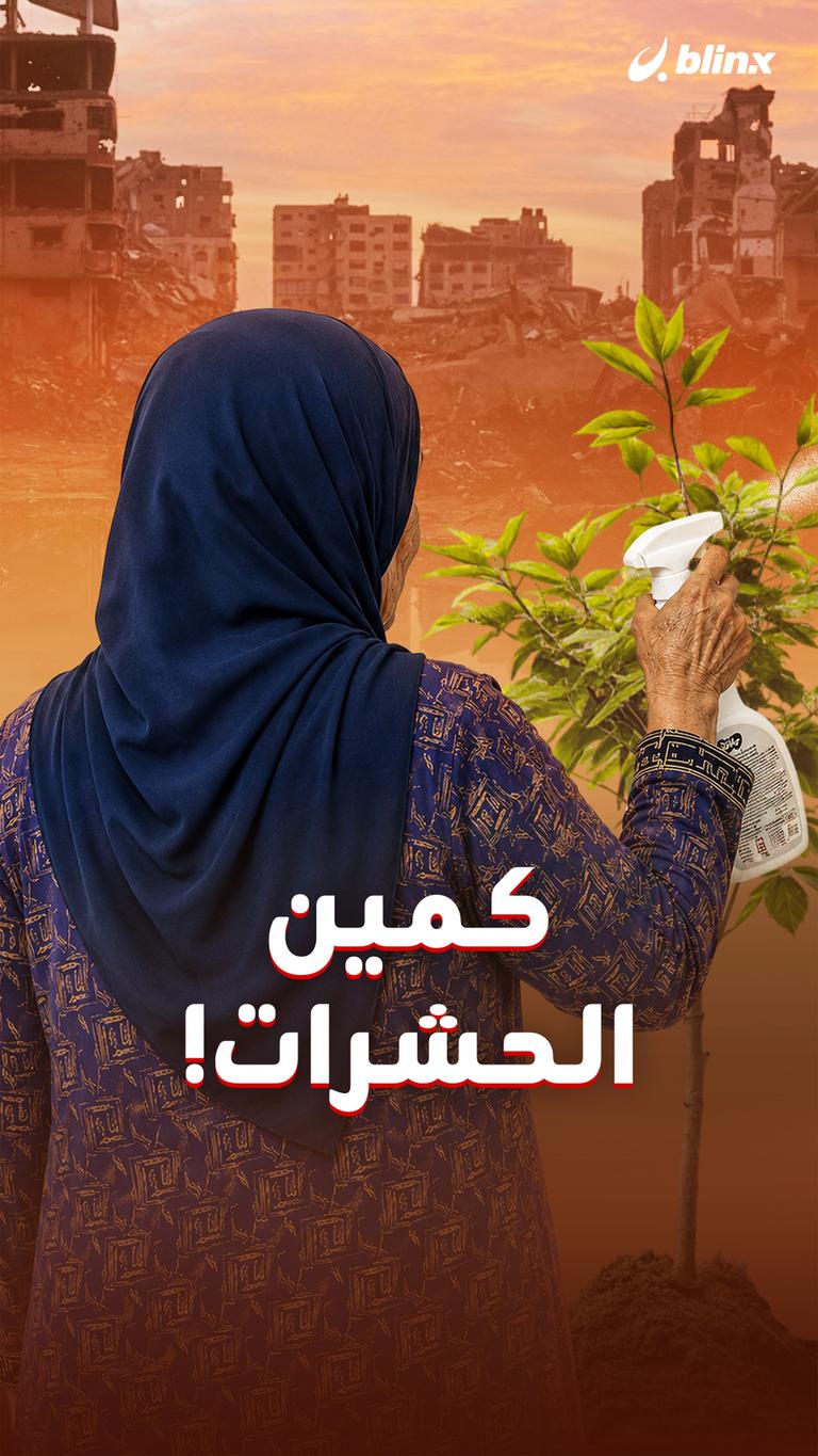 كمين الحشرات!