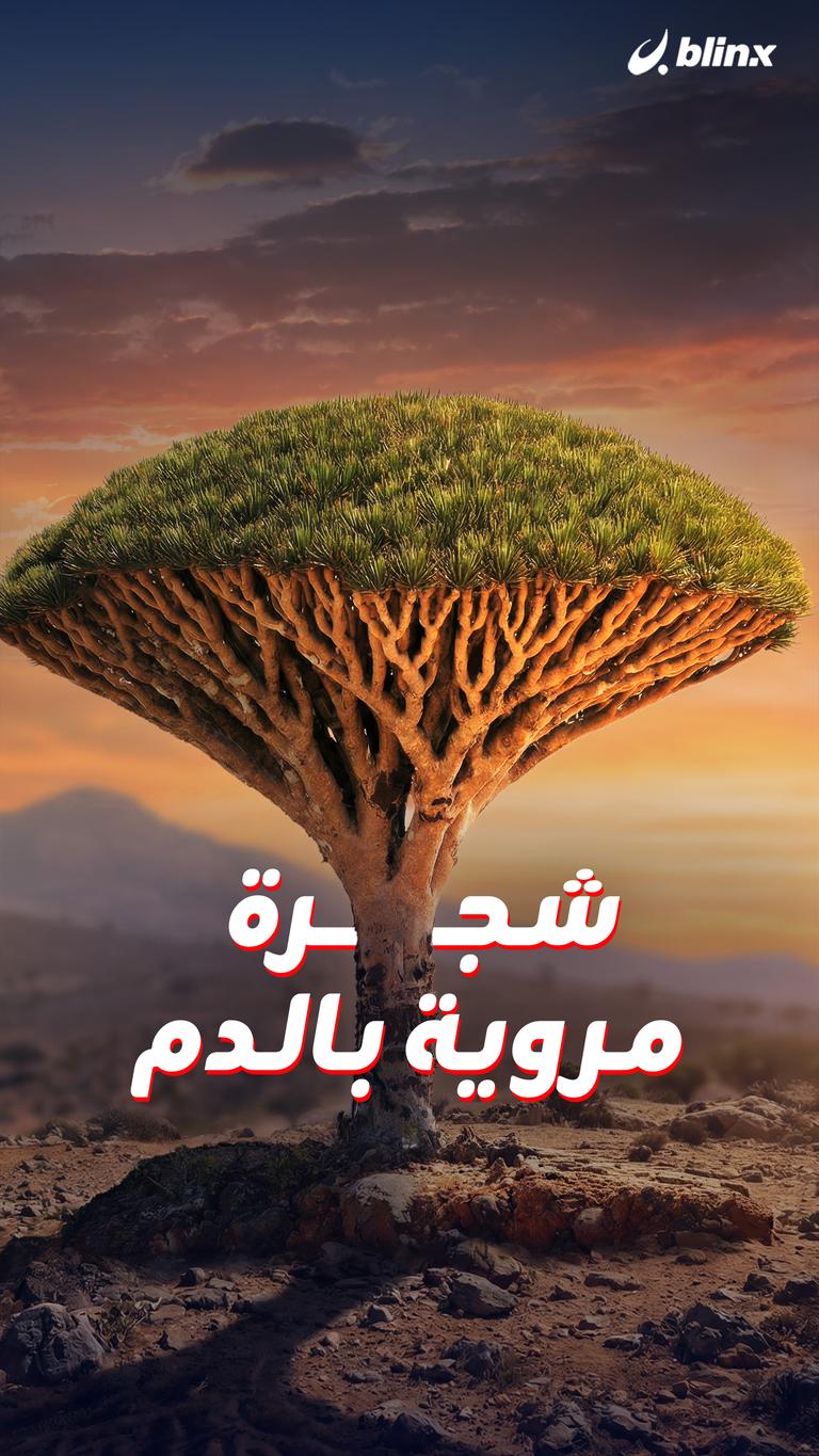 شجرة  مروية بالدم