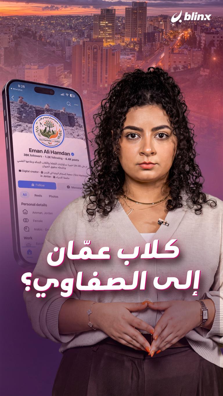 كلاب عمّان إلى الصفاوي؟
