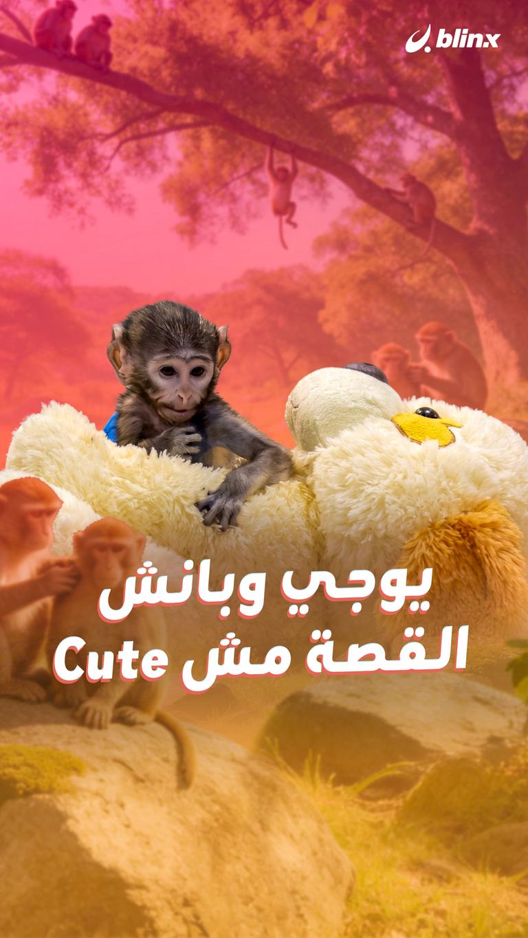 يوجي وبانش       القصة مش Cute