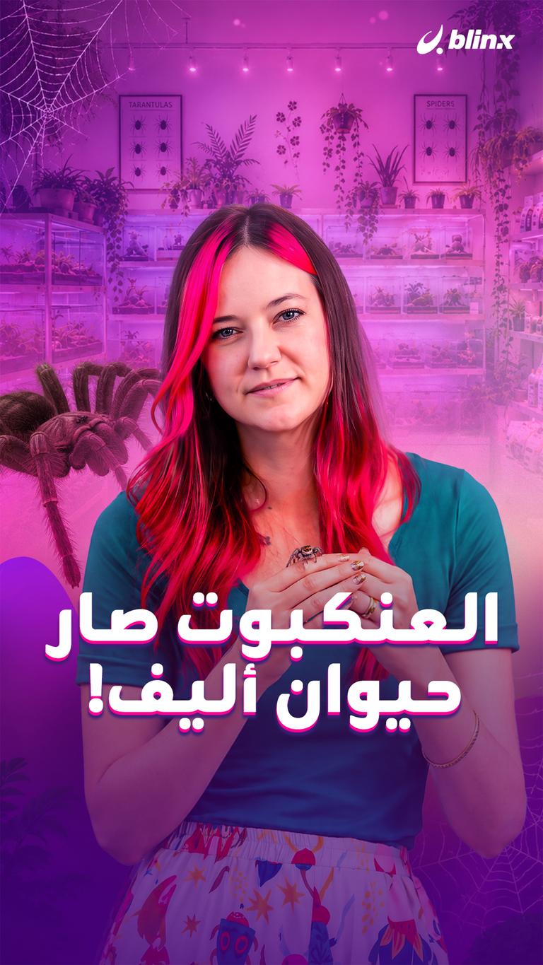 العنكبوت صار حيوان أليف!